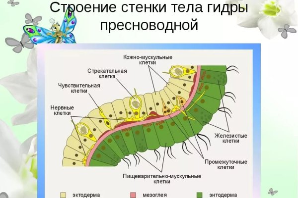 Что такое кракен наркотик