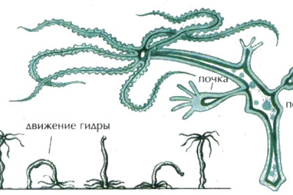 Кракен интернет площадка