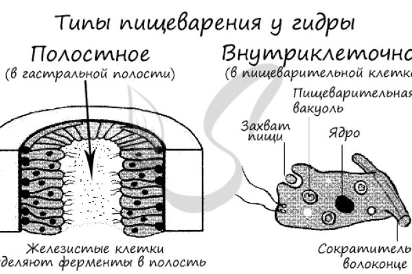 Кракен маркетплейс что там