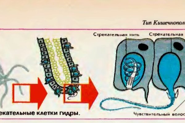 Кракен вывод средств