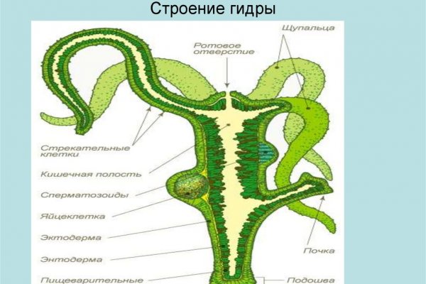 Ссылки на кракен маркетплейс тг